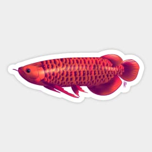 Arowana Sticker